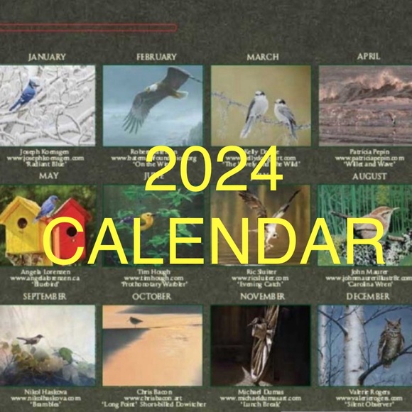 CALENDAR 2024 ART OF NATURE: Pelee Island Observatory Art Of Birds. - Picture 2 of 16